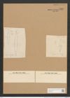 Synedra simbirskiana Grun. (de-Toni-Nr.: Genus 66, Species 2606) Zeichnungen Sammlung Grunow Nr. 5323 (NHMW-BOT-W0373724)